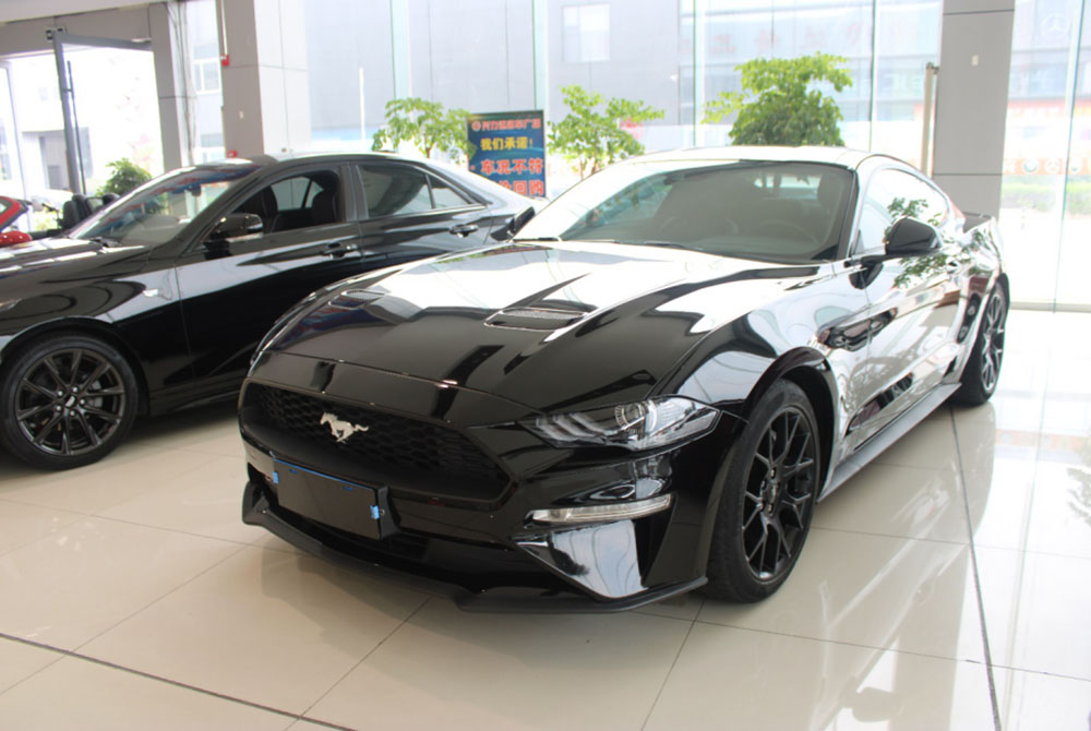 FORD MUSTANG1